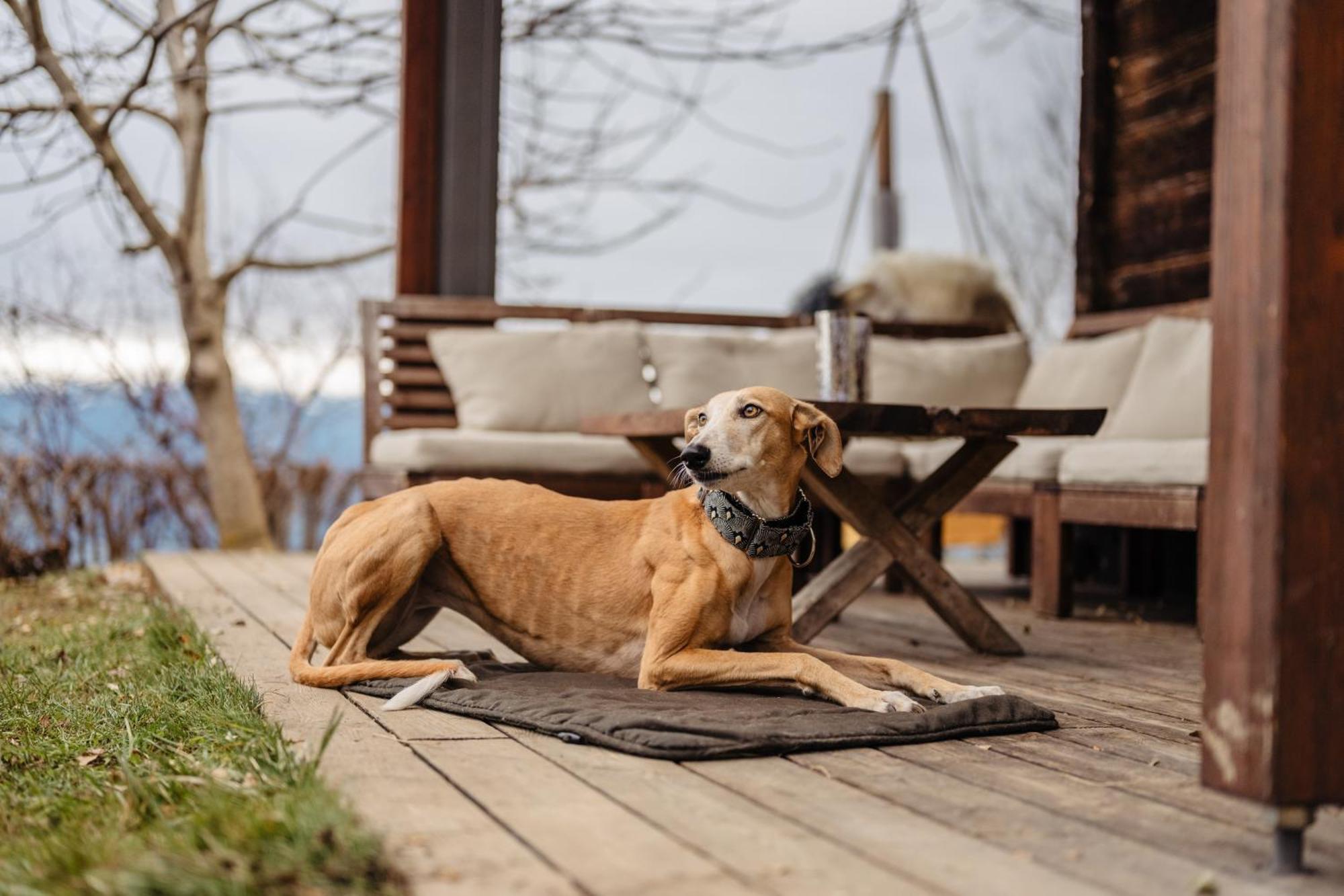 Boutique Chalet - Herke Eitweg ภายนอก รูปภาพ